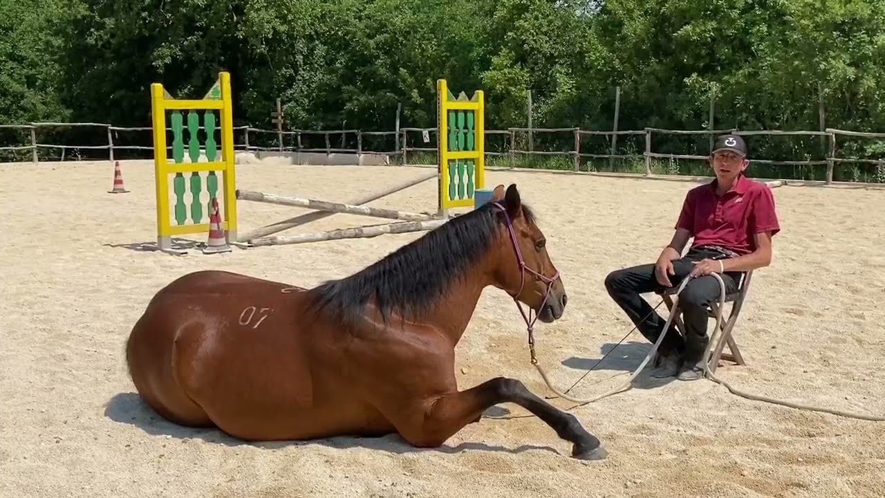 Sdraiare il cavallo