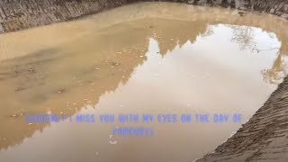 Suddenly I miss you with my eyes on the day of farewell screenshot 1