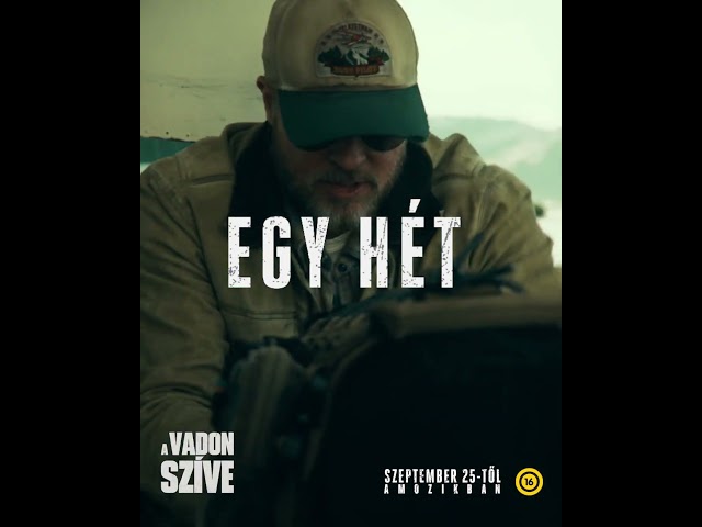 Videó borítókép