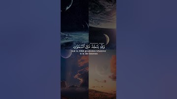 أولم يروا إلى ما خلق الله من شيء بصوت الشيخ ناصر القطامي من سورة النحل