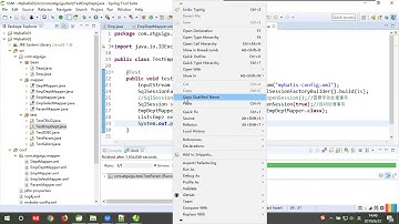 【尚硅谷】【新版MyBatis】22 多对一自定义映射