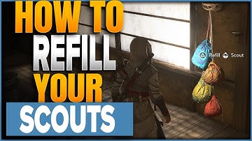 How To Refill Scouts In Assassins Creed Shadows
