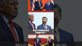 習近平特朗普再會面可能聊什麼？ － BBC News 中文