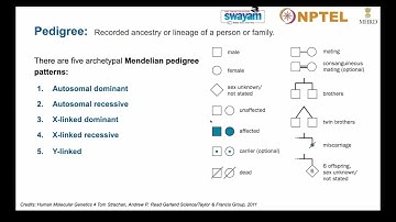 Human Molecular Genetics (noc23-bt10) | Problem Solving Session (Week 2) | NPTEL