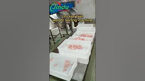 CHICKEN WINGS Grading Machine REVOLUTIONIZES Poultry Processing
