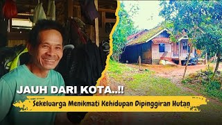 Download Lagu JAUH DARI KOTA‼️Dekat dengan Alam — Kisah Keluarga yang Memilih Hidup di Pinggir Hutan MP3 Download Lagu JAUH DARI KOTA‼️Dekat dengan Alam — Kisah Keluarga yang Memilih Hidup di Pinggir Hutan MP3
