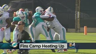 Peyton Manning Watches A Very Physical Dolphins Practice Net Worth
