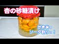 杏の砂糖漬け 氷砂糖で半分に割った杏の実をつけるだけ！ｗ【無添加本格レシピ！特選男の料理】