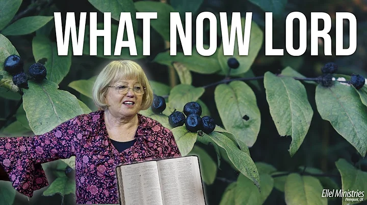 What Now Lord? | Jill Southern