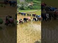 it takes a village to raise a child...