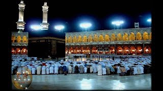 Muhammed Sıddık Minşevi Kur'an-ı Kerim Hatmi Mealli(Sesli) - Bakara Süresi 200-252