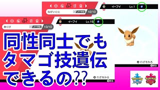 同性同士でもタマゴ技遺伝できるの ポケモン剣盾 Youtube