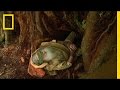 Mick's Tree Juice Experience
