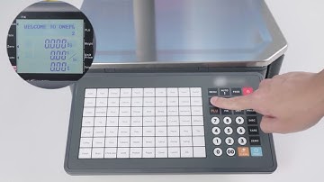 C-L1 Barcode Lable Scale-Rapid Copy