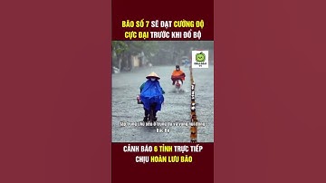 Cập nhật bão số 7 cơn bão dị thường nhất #baoso7