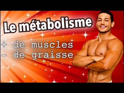 Vidéo: Catabolisme Vs Anabolisme: Hormones, Poids Corporel Et Exercices