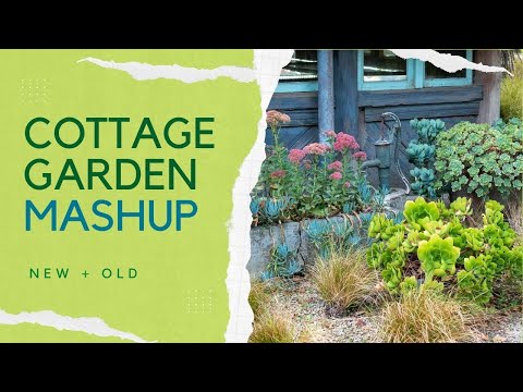 Video: Balcony Garden Growing: Menggunakan Pendekatan Taman Biointensif