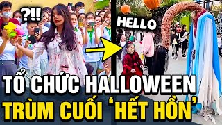 Halloween quá cháy: các trường đồng loạt tổ chức lễ hội, thầy cô cute, trùm cuối hết hồn | TÁM TV