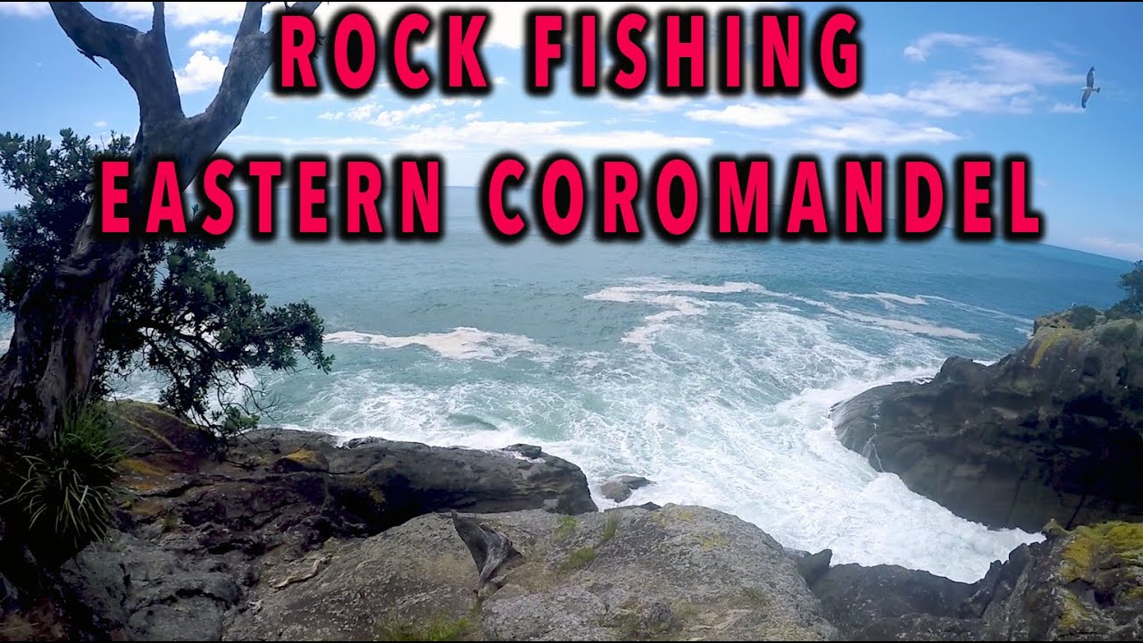 EAST COROMANDEL NZ ROCK FISHING YouTube
