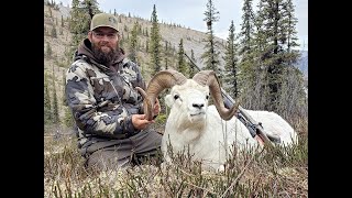 YUKON DALL SHEEP HUNT WITH BLACKSTONE OUTFITTERS