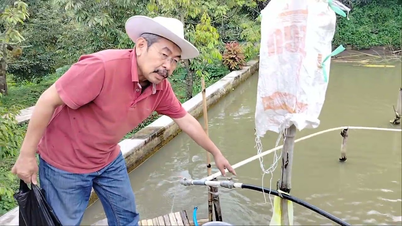 DIJUAL KBN DRN SUDAH PRODUTIF LENGKAP PILA LOKASI BANDUNG 081328018166