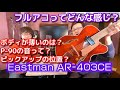 フルアコ Eastman AR-403CEの紹介【アダチ音研TV】