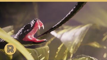 CGI 3D Animated Short: "Ouroboros" by RINGLING COLLEGE OF ART AND DESIGN | The Rookies