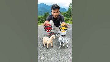 2 Ta Remote Control Zebra and Horse !Unboxing