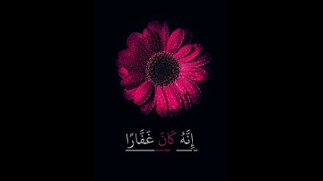 سورة نوح القارئ محمدعبدالقوى  تلاوة خاشعة جميلة جدا 😌❤️حالات واتس اب