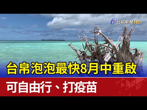 台帛泡泡最快8月中重啟 可自由行、打疫苗