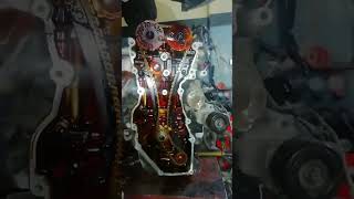 Engine Timing cover leak fixing. which?