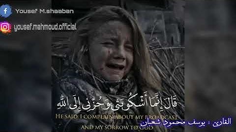 تلاوة هادئة  | يوسف محمود شعبان