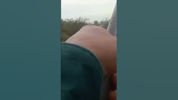 nhái thật mãi đỉnh.tuấn sông ray #cauca #lure #câu đài