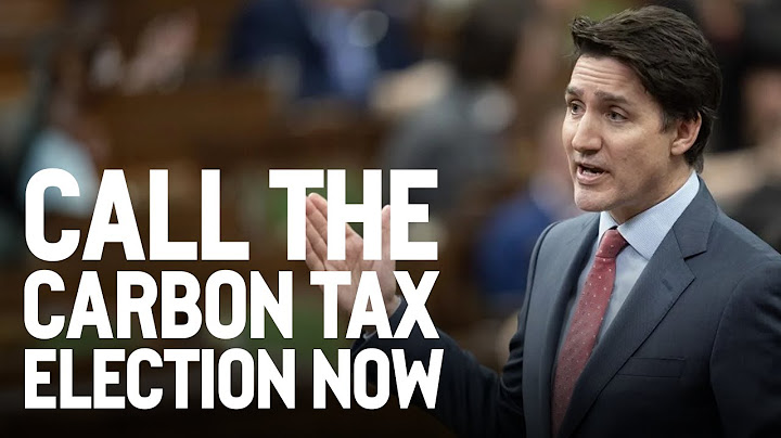 Call the carbon tax election now