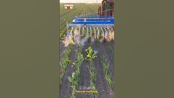 This is how Laser Weeding Technology