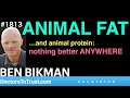 BEN BIKMAN | ANIMAL FAT…and animal protein:  nothing better ANYWHERE Mp3 Song