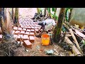 VITUKO HADI KAZINI VITUKO HADI KAZINI