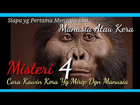 Video: Monyet Bisa Jadi Keturunan Manusia - Pandangan Alternatif