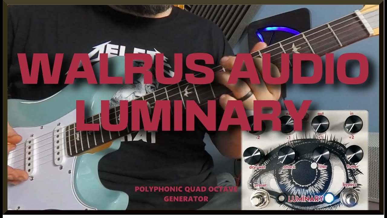 Walrus Audio Luminary V2 | Polyphonic Quad Octave Pedal - YouTube
