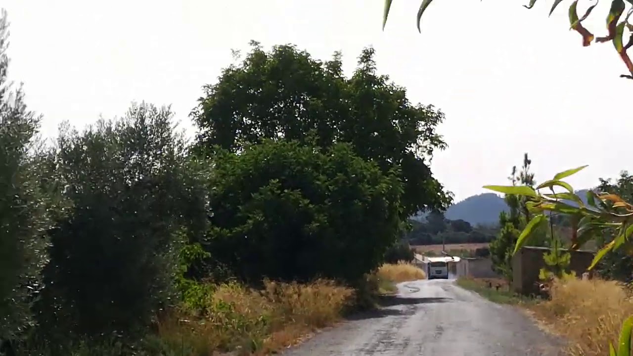 Pegaso Súper Comet Tazona