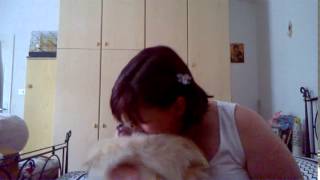WP 20150608 09 20 05 Pro