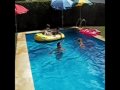 Rhodesian ridgeback and labrador - water dog madness
