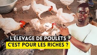 L'ÉLEVAGE DE POULETS : C'EST POUR LES RICHES ?