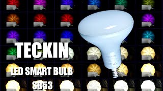 TECKIN LED Smart Bulb SB53 intelligente RGB Multicolor LED Glühlampe 13Watt dimmbar E27 G100 im Test screenshot 4