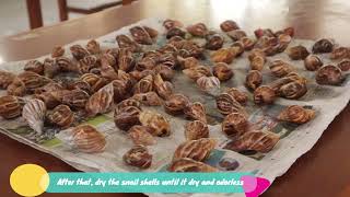 VIDEO IPITEX 2023: Snail Shell Waste As A Medium For Percussion Musical Instrument Innovation