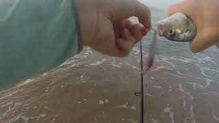 Beach Fishing Puerto Vallarta, MX by Marc Filion 1,347 views 1 year ago 4 minutes, 58 seconds