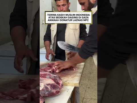 INDONESIA PASOK DAGING KE GAZA