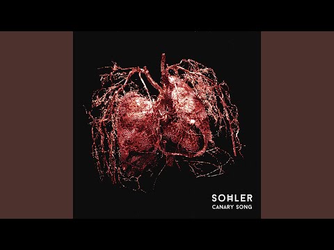 Canary Song