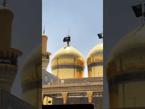 شهادة الإمام محمد الجواد عليه السلام رحم الله من نادى يا جواد الأئمة