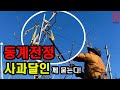 사과나무 전정ㅣ대통령 표창 받은 사과 달인이 알려주는 사과나무 전정 노하우 Mp3 Song
